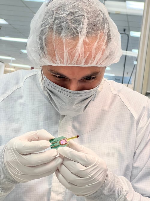 The Beauty of Lorem Ipsum: A Visual Exploration